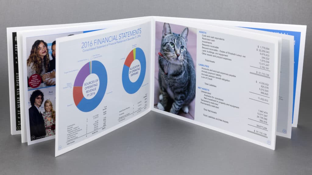north-shore-animal-league-annual-7748-1024x576-1